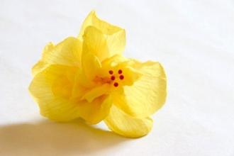 缲Ҫƶ